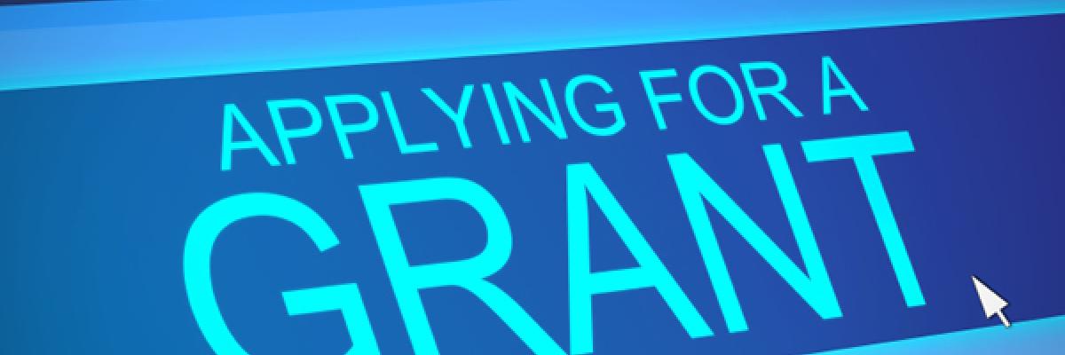 Computer screen applying for a Grant