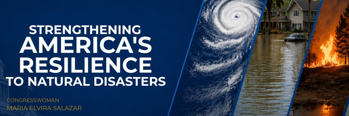 Americas Resilience 