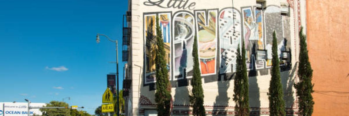 Little Havana 2